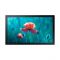 Профессиональный дисплей Samsung QB13R 13"