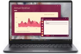 Ноутбук Dell Pro 14 (PC14250) (210-BQGZ_2)