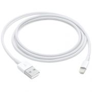 Apple Lightning to USB Cable (2m)