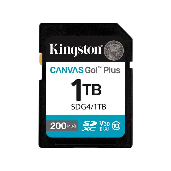 Карта памяти Kingston SDG4/1TB Canvas Go Plus Gen4 C10 UHS-I U3 V30 1TB Карта памяти Kingston SDG4/1TB Canvas Go Plus Gen4 C10 UHS-I U3 V30 1TB