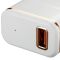 CANYON H-043 Universal 1xUSB AC charger (in wall) with over-voltage protection, plus lightning USB connector, Input 100V-240V, Output 5V-2.1A, with Smart IC, white(rose-gold electroplated stripe), cable length 1m, 81*47.2*27mm, 0.059kg
