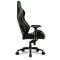 Игровое кресло Sharkoon Skiller SGS4 Black/Green