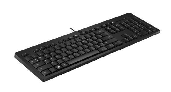 Клавиатура HP Europe 125 WD (266C9AA#B15)