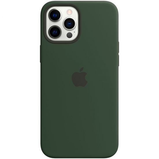 iPhone 12 Pro Max Silicone Case with MagSafe - Cypress Green