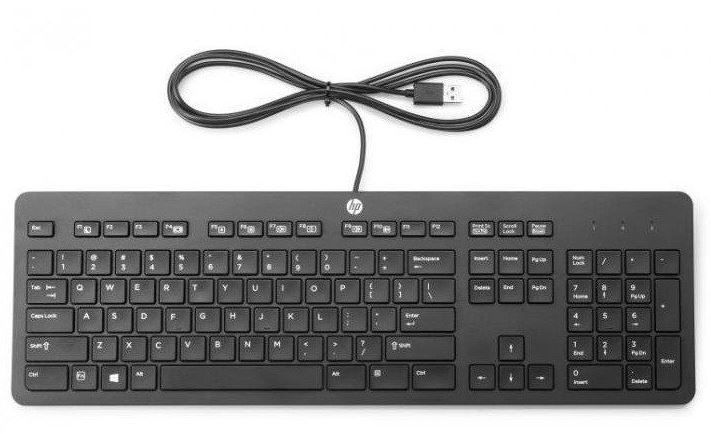 Клавиатура HP Europe HP 125 USB Wired Keyboard (266C9A6#B15)