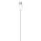 60W USB-C Charge Cable (1m),Model A2795