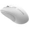 CANYON MW-7, 2.4Ghz wireless mouse, 6 buttons, DPI 800/1200/1600, with 1 AA battery ,size 110*60*37mm,58g,white