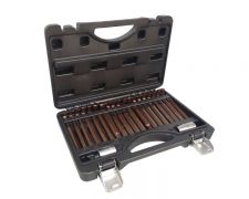 Набор бит с битодержателями "Premium", 40 предметов (10мм)(75/30мм: T20-T55,H4-H12,M5-M12) в пластик 28675       RF-4401D Premium