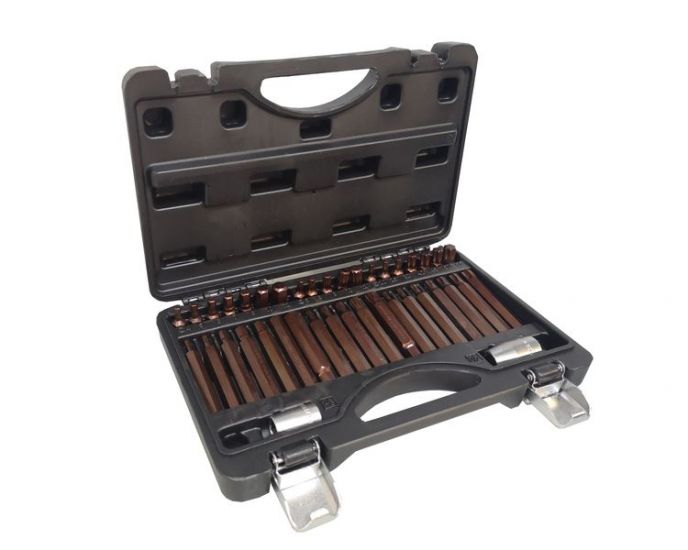 Набор бит с битодержателями "Premium", 40 предметов (10мм)(75/30мм: T20-T55,H4-H12,M5-M12) в пластик 28675       RF-4401D