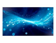 Samsung LFD панель UM55H-E 55