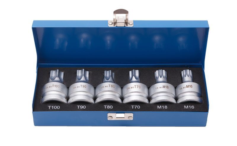 Набор головок Torx, Spline с отверстием 3/4" 6 предметов(Т70, Т80, Т90, Т100, М16, М18), в кейсе ROCKFORCE RF-305116 15218