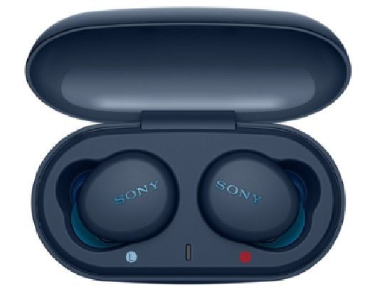 Беспроводные наушники Sony WF-XB700B.L (синий)