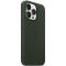 iPhone 13 Pro Leather Case with MagSafe - Sequoia Green, Model A2703