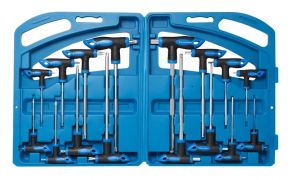 Набор ключей Т-образных TORX/6-гранныхс шаром,16 предметов(Н:2,2.5х75, 3,4х100, 5,6х150, 8,10х200мм; 25683       RF-5166B