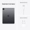 12.9-inch iPad Pro Wi-Fi + Cellular 256GB - Space Grey, Model A2461